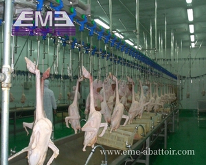 การซื้อขายที่ดีการหลั่งเลือดสัตว์ปีกรางลําเลียงอัตโนมัติอุปกรณ์ฆ่าอัตโนมัติของเครื่องแปรรูปโรงฆ่าสัตว์ไก่ - Product Image 4