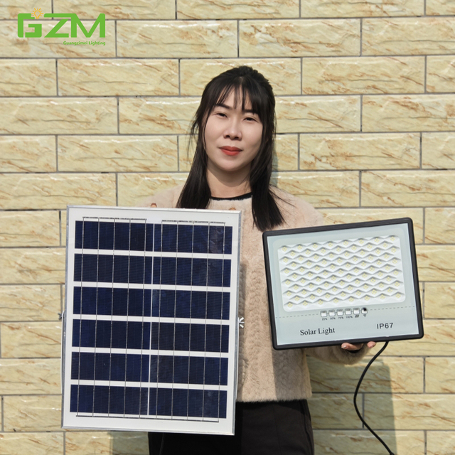 Solar Outdoor Courtyard Light Indoor Household Solar Projection Light Waterproof Solar Outdoor Light