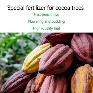 <span class=keywords><strong>Engrais</strong></span> Liquide Organique à Libération Lente Rosia Cocoa Tree Spécial Acides Aminés Azotés 260g/L N <span class=keywords><strong>pour</strong></span> Apport en Surface pH 7-8 Rapide - Product Image 5