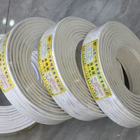 Cable Eléctrico Plano Trenzado con Aislamiento de PVC y Cobre RVVB de 2 Núcleos, Estándar Nacional, para Uso Doméstico y en Edificios, 1/1.5/2.5/4/6mm