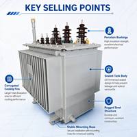 Fabricant de transformateurs électriques immergés dans l'huile, antidéflagrants, pour la distribution d'énergie minière
