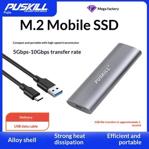 Puji Mobile Solid State Drive M2 NGFF/NVMe 128GB 256GB Kecepatan Tinggi Portabel Logam Baru Grosir Catu Daya Eksternal - Product Image 5