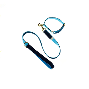 Luxuriöse Haustierprodukte: Verstellbare Nylon-Hundehalsbänder und Leinen-Sets mit passender Leine und goldfarbenen Metallbeschlägen - Product Image 5