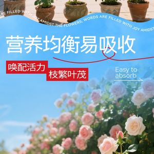 Solution nutritive pour plantes Rose et Rose de Mois, simple à utiliser et adaptée aux jardiniers débutants, feuillage luxuriant et durable - Product Image 4