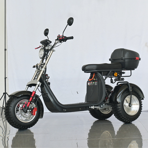 Motocicleta Eléctrica de Tres Ruedas, Triciclo, 25A 30A, Dos <span class=keywords><strong>Baterías</strong></span> Extraíbles, Neumático Todoterreno de 10 Pulgadas, Venta Directa de Fábrica SHANSU - Product Image 6