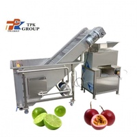 Volledig automatische citrusvruchtensap was-, hef- en productielijn; passievrucht-, citroen- en grapefruitsapverwerkingslijn