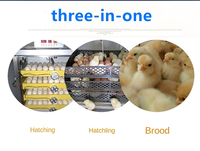 Nouvel incubateur domestique compact 10 œufs à double alimentation, retournement automatique des œufs, taux d'éclosion de 98 % pour poussins, canards, oies, pigeons
