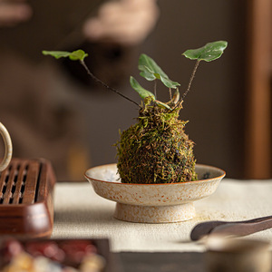 Assiette à fruits en céramique de style rétro, motif floral, petit plateau à thé en porcelaine, plat à collation, usage domestique - Product Image 3