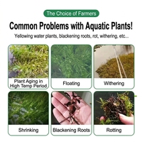 Bacillus pour la croissance des racines en aquaculture, stimule l'enracinement et la germination des plantes aquatiques, purifie la qualité de l'eau des étangs, granulés probiotiques