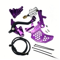 Kit de frein arrière hydraulique neuf en aluminium CNC pour moto tout-terrain KYZ Surron Ultra Bee LBX Talaria Sting E/Dirt Bike, amélioration 2026