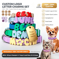 Breloques en silicone personnalisées avec logo, 26 lettres, pour collier de chien ou de chat, étanches et réglables, vente en gros, usine OEM