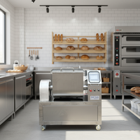 Machine à mélanger la farine électrique automatique, bol en acier inoxydable, pétrin pour boulangerie, restaurant, magasin de nouilles, cantine