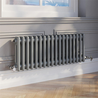 Avonflow Europe populaire radiateur à 2 colonnes radiateur mural en acier Design chauffage par le sol eau chaude radiateur à ligne verticale