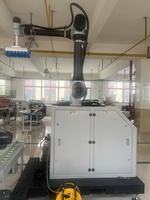 Machine de palettisation collaborative pneumatique automatique de 20 kg avec bras manipulateur pour cartons