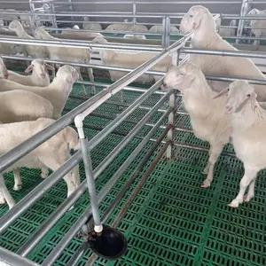 China Lieferant Kunststoff Lamellen boden für Ziegen farm oder Ziegen stall Ziege Schlitz Latten boden