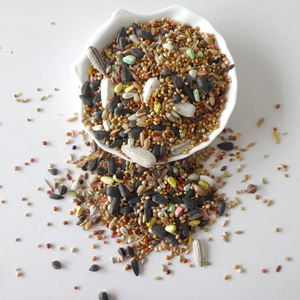 อาหารนกพรีเมียม 2 ปอนด์ สำหรับ<span class=keywords><strong>นก</strong></span>ค็อกเทลและ<span class=keywords><strong>นก</strong></span>เลิฟเบิร์ด - Product Image 5