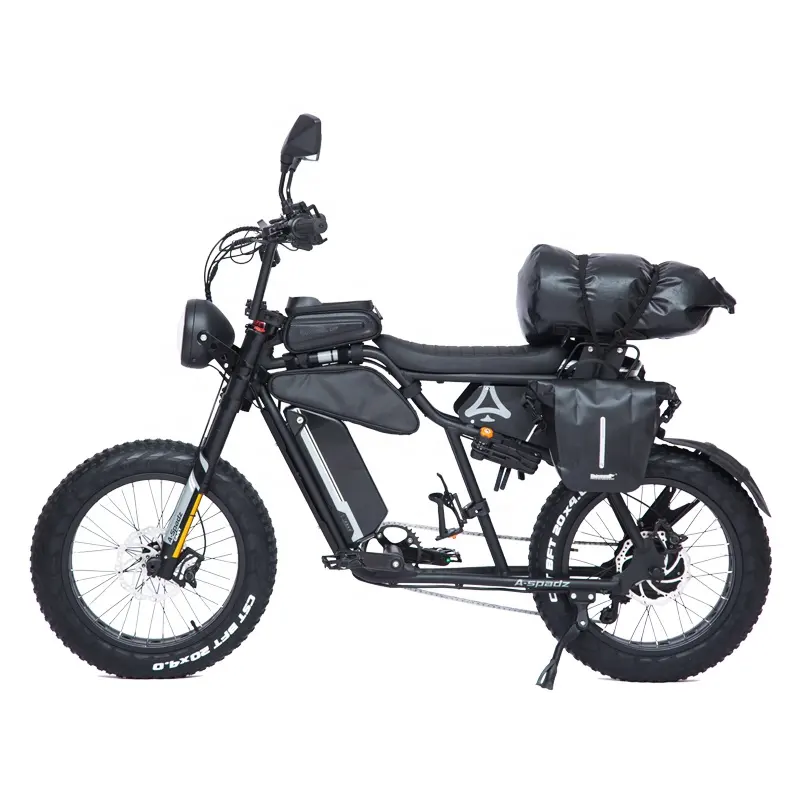 電動自転車フロントフォーク48V 500W 750W 1000W Ebikeリチウム電池ファットタイヤ