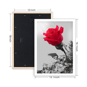 Khung Áp Phích Làm Bằng Gỗ Thân Thiện Với Môi Trường Thủ Công | Kính Được Đánh Bóng Bằng Gỗ Thông Trắng Gỗ MDF Khung Ảnh 4 Màu OEM/ODM - Product Image 5