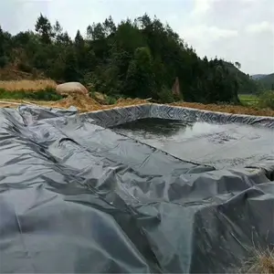 Customized geomembrane HDPE waterproof and anti-seepage membrane for fish pond breeding flat rough surface landfill fish pond an