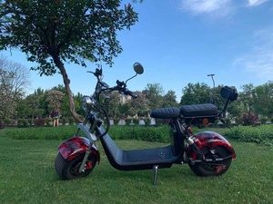 สกู๊ตเตอร์ไฟฟ้า Citycoco รุ่น Fat Cruiser คุณภาพสูง กำลังไฟ 1000W 1200W 1500W แบตเตอรี่ลิเธียมกำลังสูง ยางใหญ่ - Product Image 5