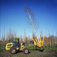 Bêche d'arbre d'excavatrice d'accessoires de boeuf de petit dérapage de lame de la conception Offre Spéciale 4 pour transplanter des arbres
