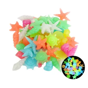 200 Colorful Glowing Stone Starfish Shells For Sale At Amazon Marine Aquarium/pack 2-3 Cm Glowing Stone