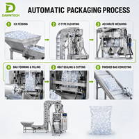 Machine d'emballage automatique de sacs de glaçons avec peseuse linéaire, ligne de conditionnement verticale pour glaçons en tube, en pépites et en flocons
