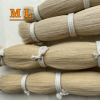 2026 Extensions de cheveux 100% crin de cheval, double tirage, 50 cm, cheveux de poney