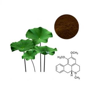 Lian Ye Groothandel 100% Puur Gedroogd Lotusblad <span class=keywords><strong>Extract</strong></span> Poeder 98% Nuciferine Kruid Specerij Export Rauw - Product Image 3