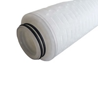 Filtro de cartucho plissado para a cerveja, filtro de cartucho plissado da grau alimentar de 20 polegadas 1 micron
