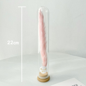 E77 Vente chaude Ensemble cadeau de fleurs séchées naturelles en tube de verre Pampas Fleurs séchées blanches et roses conservées avec du verre - Product Image 3