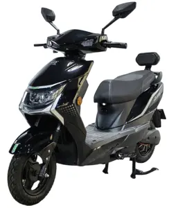 Modern Electric Scooter Supplier 800w 48V/60V Motor Electric Moped For Adult