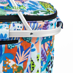 Refroidisseur pliable isolé pour l'extérieur Panier de pique-nique Panier de marché pour les voyages Shopping Camping - Product Image 4