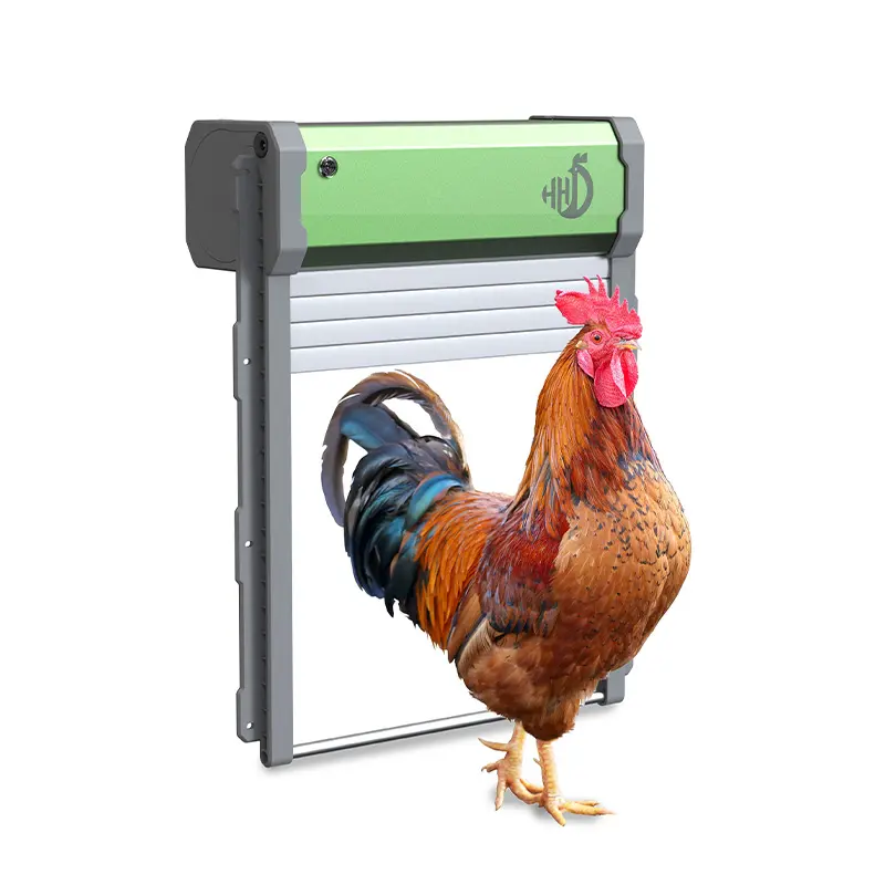 Abridor de puerta de gallinero para granja avícola, puerta de gallinero solar automática a la venta