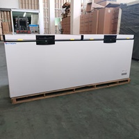 Congelador Horizontal Comercial de Una Sola Temperatura, Eficiente Energéticamente y Compacto, en Oferta a Buen Precio
