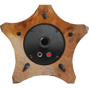 Wood Color Omnidirectional <b>Speaker</b> 10x4 160W 8 Ohm <b>Audio</b> Processor - Product Image 2