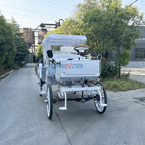 Electric Sightseeing Vehicle Perfect for Amusement Parks Horse Carriage Horse Drawn Carriagefor Sale - Product Image 1