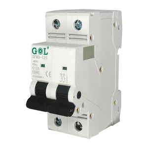 MCB 125A 18mm 2P AC pequeño volumen fuerte adaptabilidad venta al por mayor del fabricante interruptor de aire patentado interruptor en miniatura