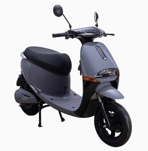 Moto électrique 1000W pour adultes Meilleure moto électrique pour les déplacements quotidiens Moteur 10 pouces Vitesse maximale 50 km/h Type électronique - Product Image 3