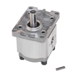 Repuestos de Control Hidráulico para Cargadora de Ruedas, Bomba de Engranajes de Trabajo CBNF310 - Product Image 2