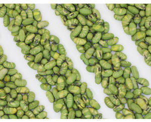 Yüksek Proteinli Soya Fasulyesi Atıştırmalıkları Kuru Kavrulmuş Edamame Fasulyesi Atıştırmalığı - Product Image 4