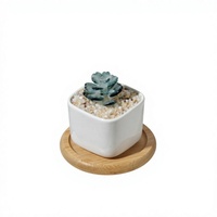 Plante succulente miniature en verre de style Murano faite à la main, figurine artistique en cristal pour la décoration de table à la maison