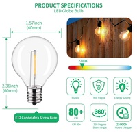 Guirlandes lumineuses d'extérieur 100 pieds, étanches, ampoules G40 LED, décoration de jardin, fête