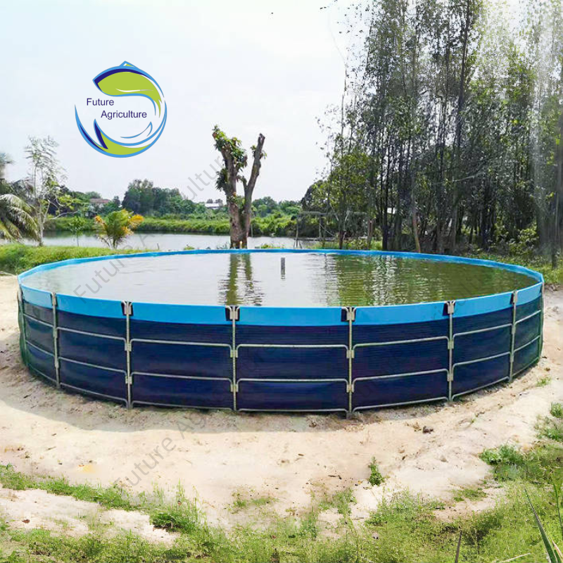 Outdoor Tilapia Fish Farming Ras Recirculating