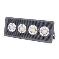 Projecteur led 400w, conforme à la norme IP67, éclairage d'extérieur, lampe de paysage, 3 ans, nouveau modèle