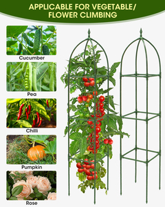 Removable Fangding <b>Tomato</b> Planting Trellis Plants Vegetable Growth Climbing Frame Garden Planting Box With Wheels - Product Image 5