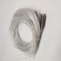 Sensor Suhu Resistor Termistor Platinum Miniatur Grosir PT100 Pt1000