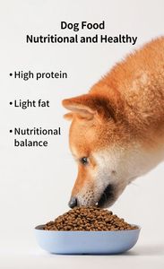 High-Protein Healthy <strong>Dry</strong> Pet <strong>Food</strong> Hot Sale in China-Manufactured by Top <strong>Dog</strong> <strong>Food</strong> <strong>Brand</strong>