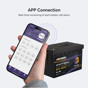 ユーティリティビークルバッテリー 電動ゴーカートレーシングバッテリー IFP2265146 セル 64V LiFePO4バッテリー 多目的車両（MPV）バッテリー - Product Image 5