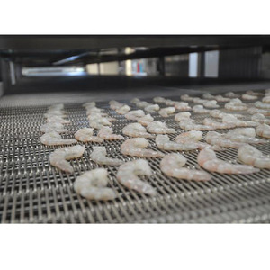 Thực Phẩm Biển Iqf Đường Hầm Tủ Đông/Không Gỉ Vành Đai Nhanh Chóng Tủ Đông Cho Tôm Hùm/Dâu Tây Đường Hầm Nitơ Lỏng Tủ Đông Nitơ Nổ Đông Lạnh - Product Image 6